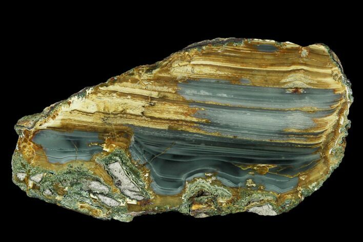 Polished Section of Blue Mountain Jasper - Oregon #150513